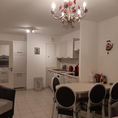 Le Carre Des Fleurs Apartment Strasbourg Bagian luar foto