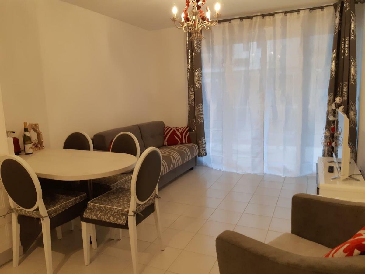 Le Carre Des Fleurs Apartment Strasbourg Bagian luar foto